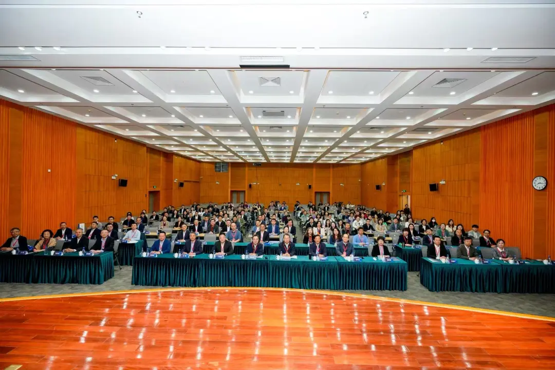 1765266231796030264.webp 1765266231796030264.webp